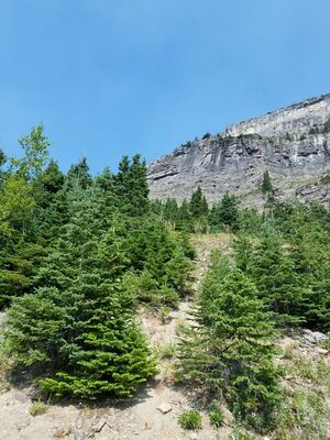 20170803_113601.jpg