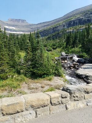 20170803_113907.jpg