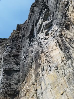 20170803_114028.jpg