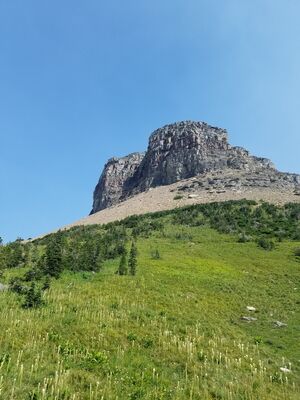 20170803_114049.jpg