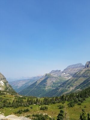20170803_114139.jpg