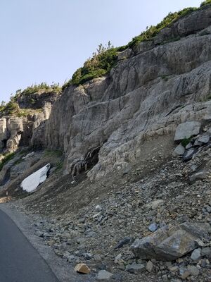 20170803_114352.jpg