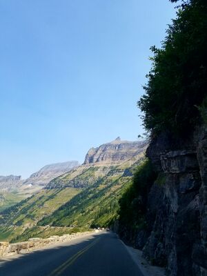 20170803_114420.jpg
