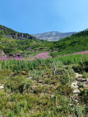 20170803_115004.jpg