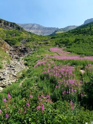 20170803_115007.jpg