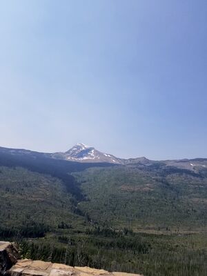 20170803_120233.jpg