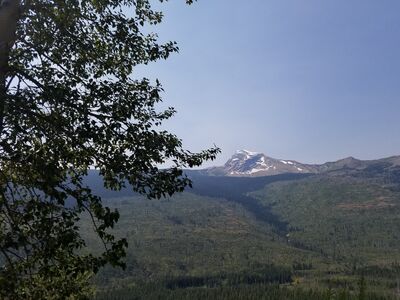 20170803_120301.jpg
