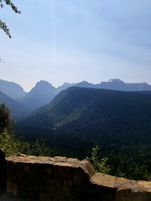 20170803_120351.jpg