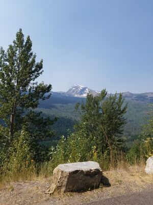 20170803_120415.jpg