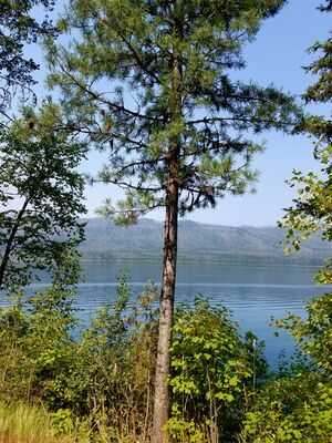 20170803_123127.jpg