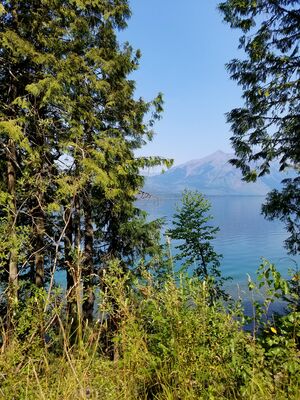 20170803_123704.jpg
