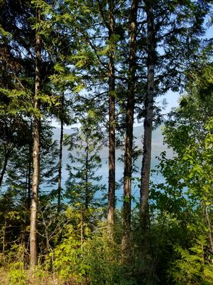 20170803_123736.jpg