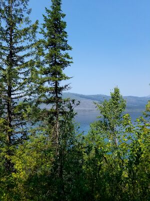 20170803_123742.jpg