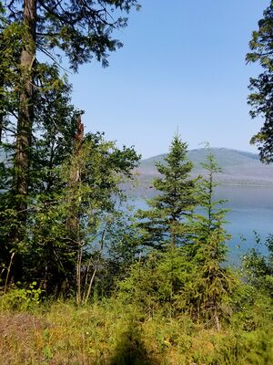 20170803_123836.jpg