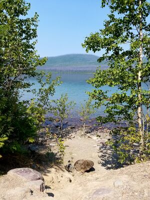 20170803_124110.jpg
