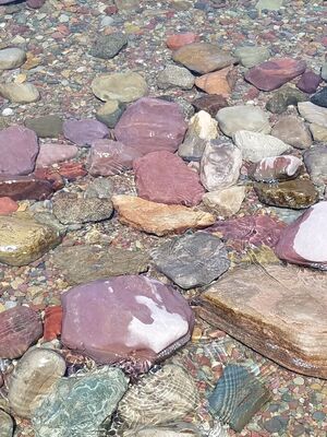 20170803_124644.jpg