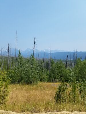 20170803_140000.jpg