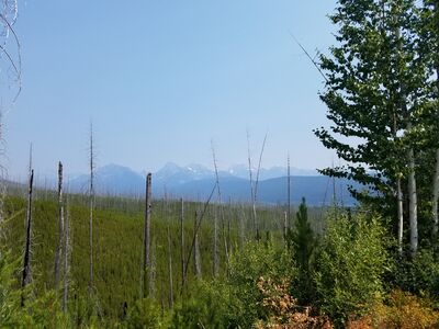 20170803_140101.jpg
