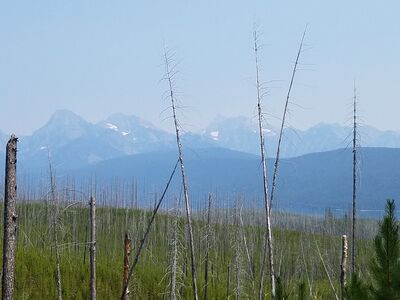 20170803_140105.jpg
