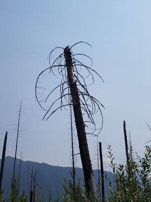 20170803_140333.jpg