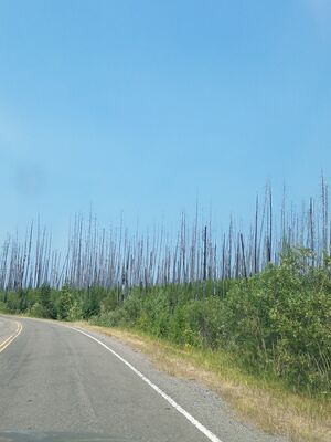 20170803_140657.jpg