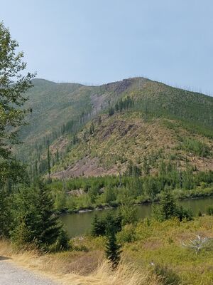 20170803_141725.jpg