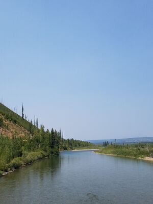 20170803_141737.jpg