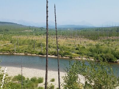 20170803_141931.jpg
