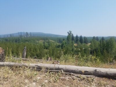 20170803_151240.jpg