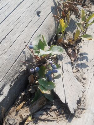 20170803_151324.jpg