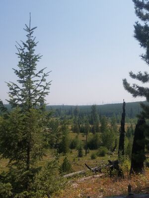20170803_151343.jpg