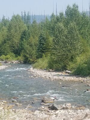 20170803_151625.jpg