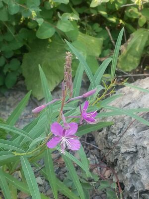 20170803_155018.jpg