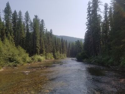 20170803_155052.jpg