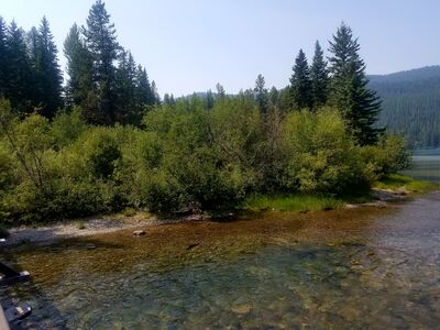 20170803_155148.jpg