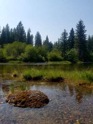 20170803_155722.jpg