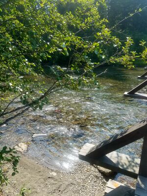 20170803_160729.jpg