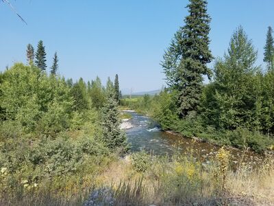 20170803_165334.jpg