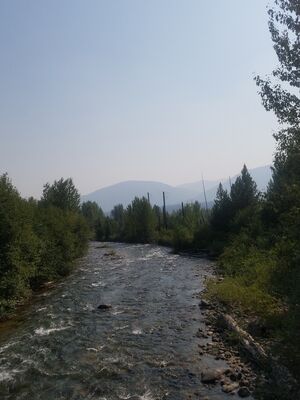 20170803_165348.jpg