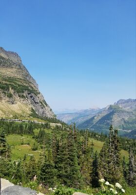 20170803_183755.jpg