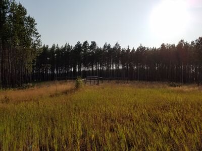 20170803_185501.jpg