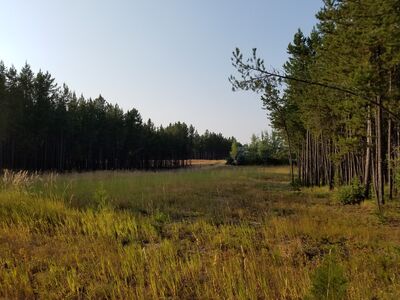 20170803_185504.jpg