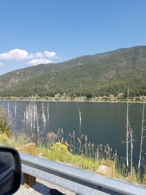 20170804_164434.jpg