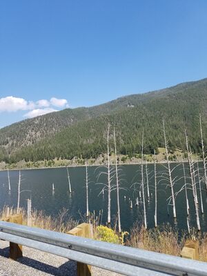20170804_164450.jpg
