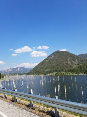 20170804_164557.jpg