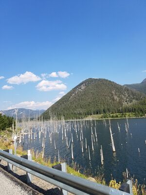 20170804_164601.jpg