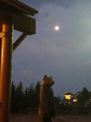 20170804_211232.jpg