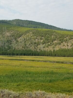 20170805_100456.jpg