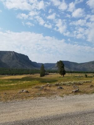 20170805_101034.jpg