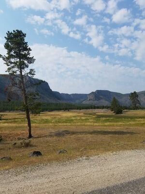 20170805_101036.jpg